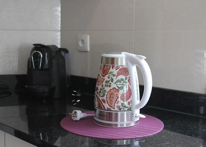 Апартаменты Maria Violeta Tourism *